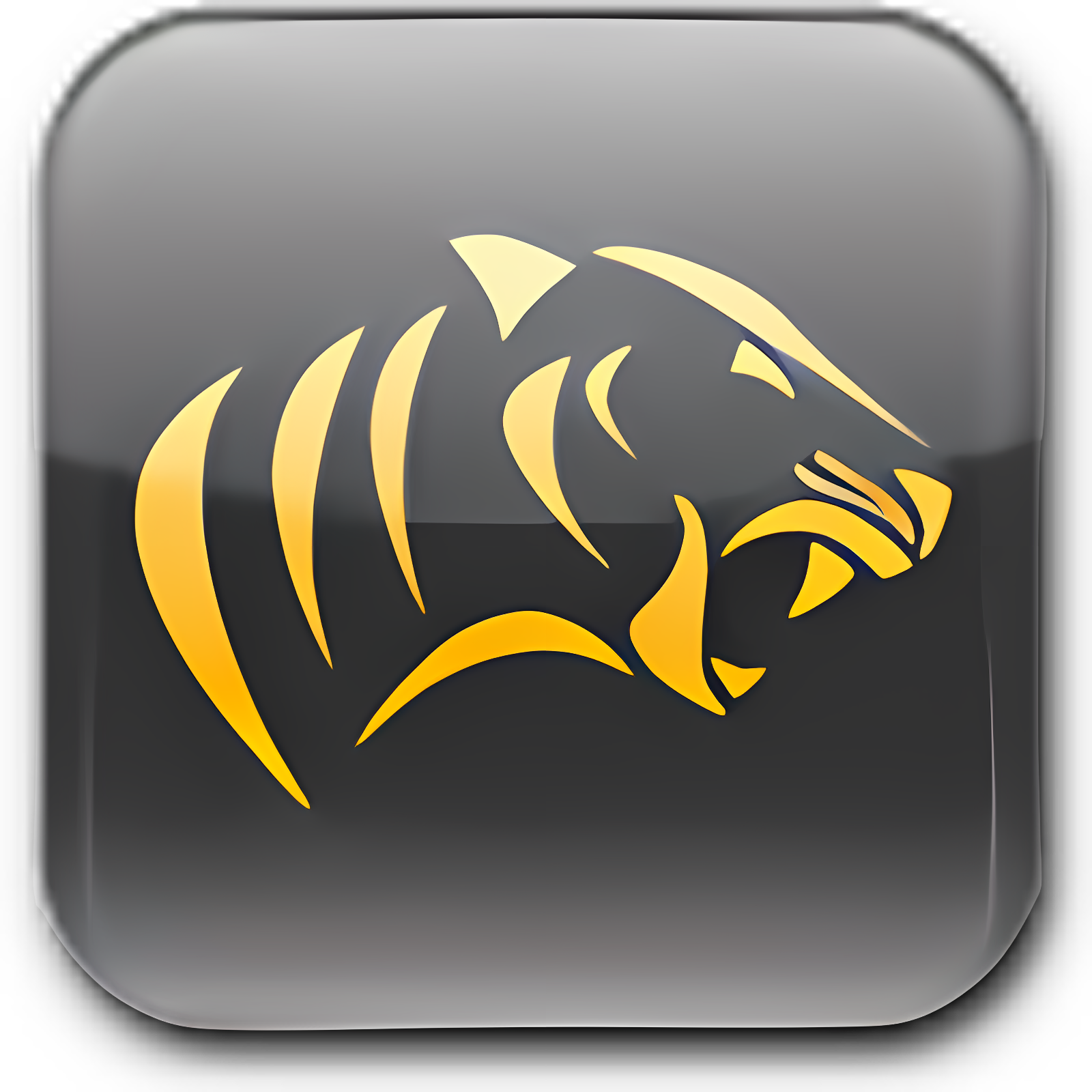 RipTiger Ultimate