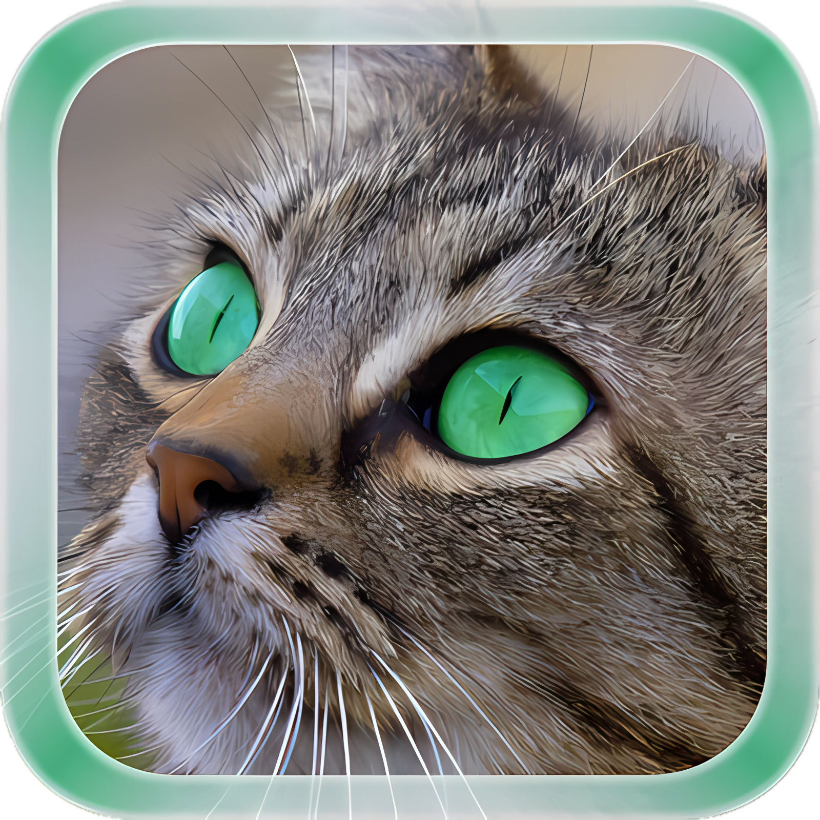 Cat Live Wallpaper