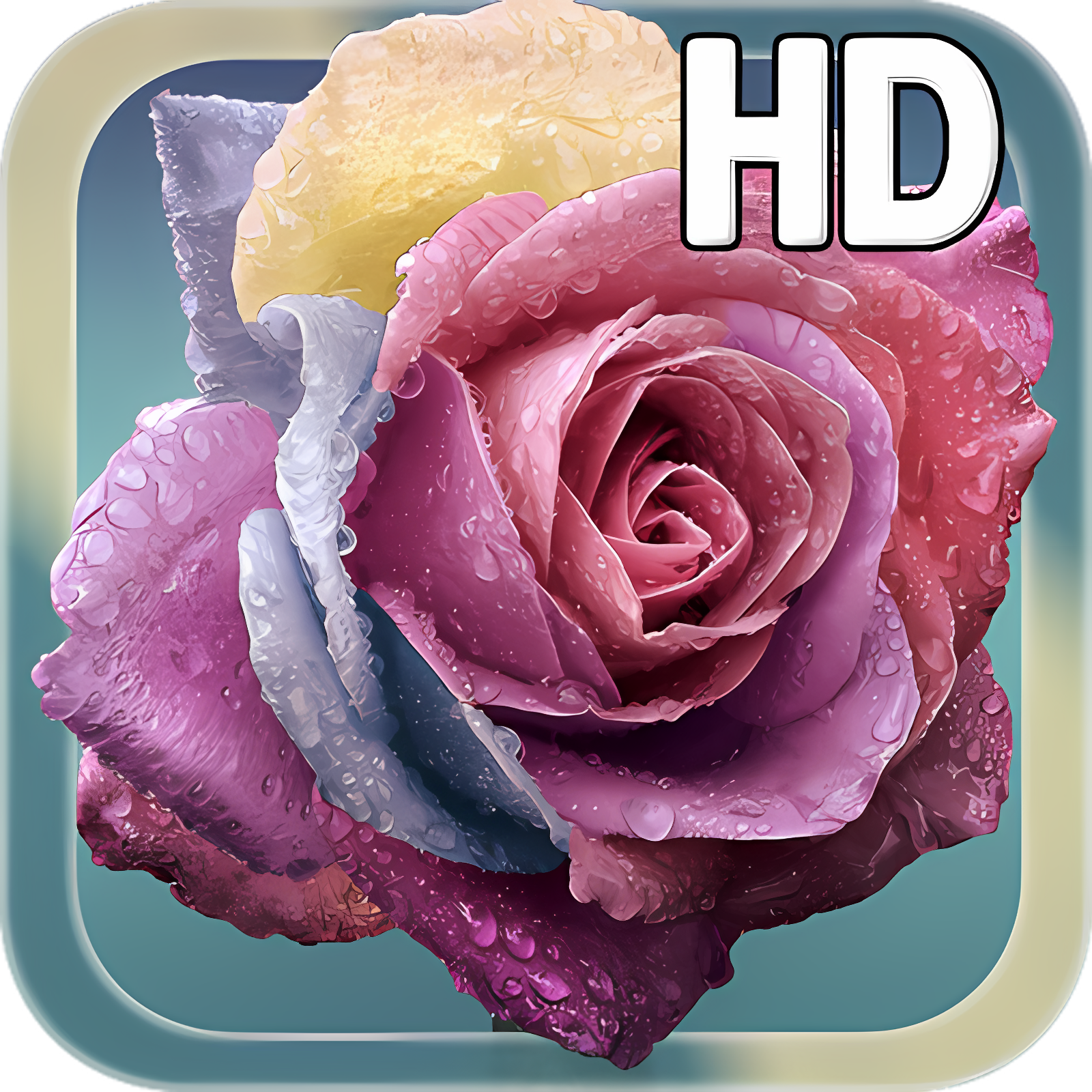 Raindrops Rose Live HD