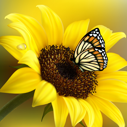 Butterfly Live Wallpapers