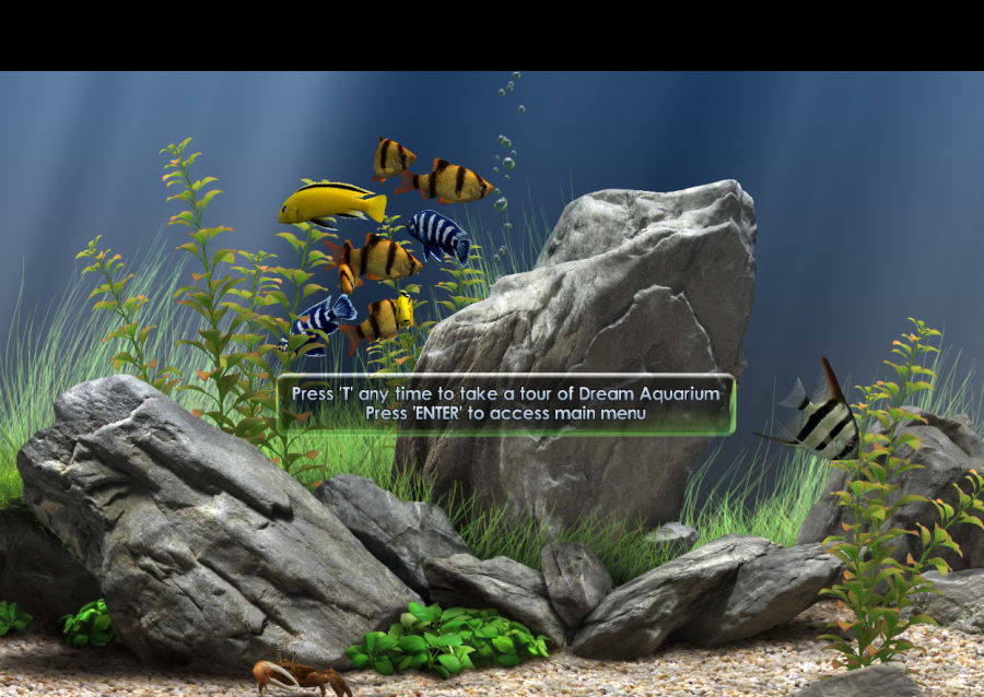 dream aquarium screensaver windows 10